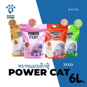 POWER CAT ทรายเต้าหู้