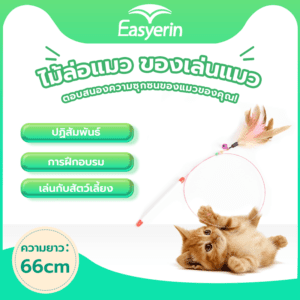 ของเล่นแมว